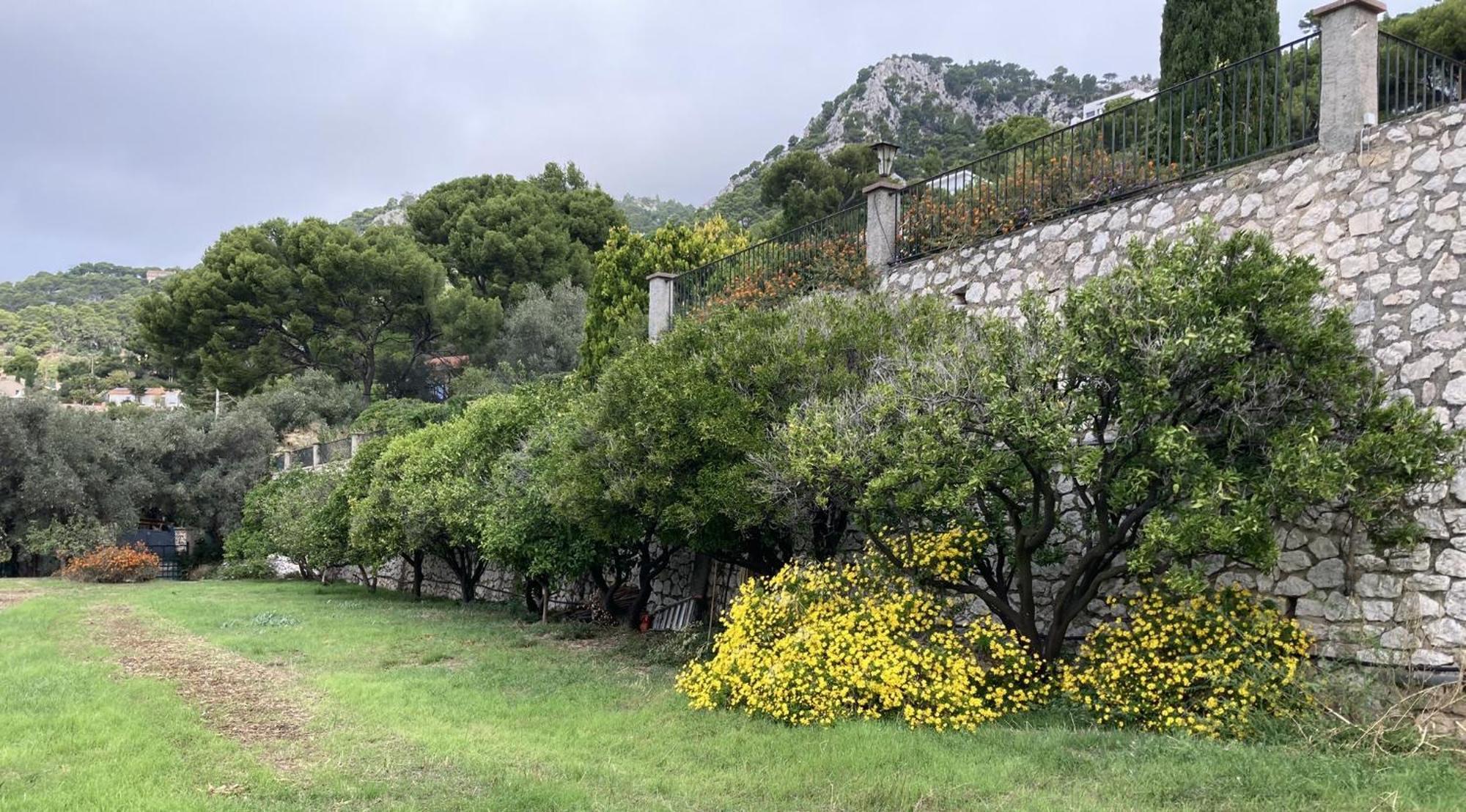 Mas Sainte Marie Leilighet Toulon Eksteriør bilde